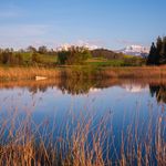 Weiherlandschaft Ostergau Willisau