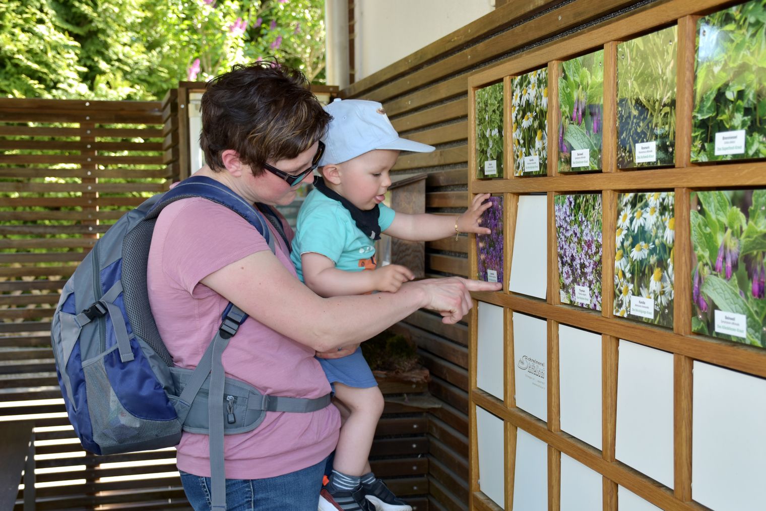 Familienwanderungen